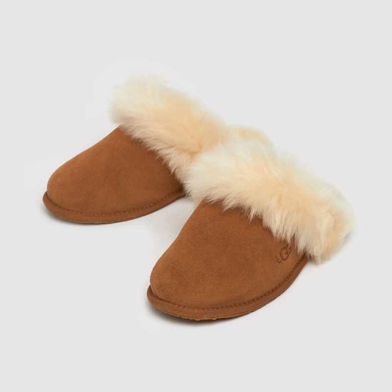 Tan Ugg Scuff Sis Pantuflas Dr.martens Botas