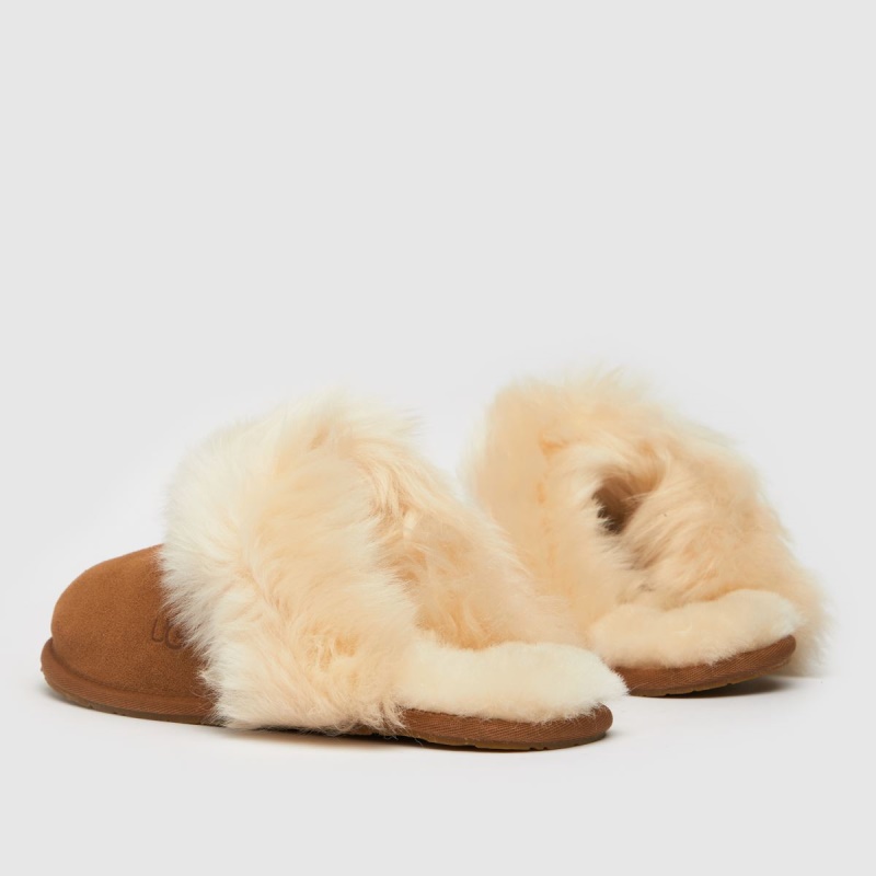 Tan Ugg Scuff Sis Pantuflas Dr.martens Botas