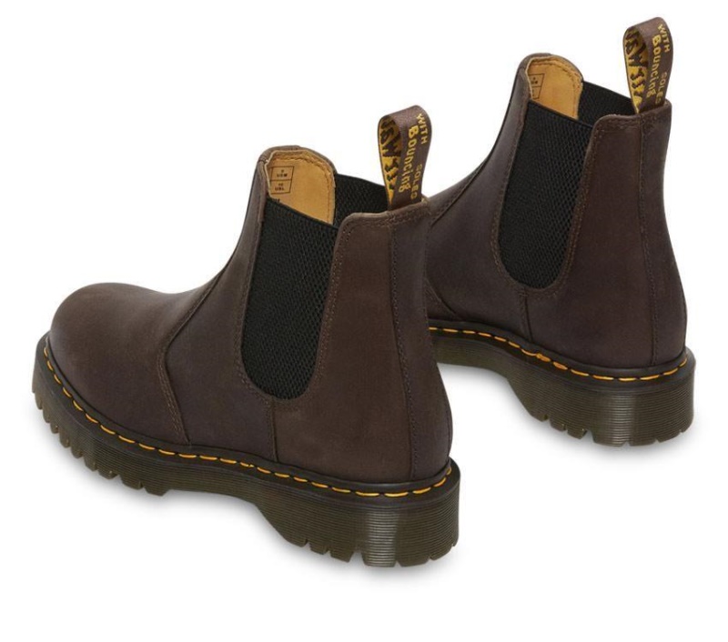 Dr.martens Botas Marrón Oscuro Crazy Horse 2976 Bex Crazy Horse Chelsea Boot