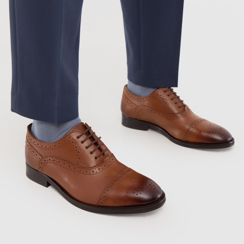 Marrón Dr.martens Botas Ted Baker Arniie Zapatos