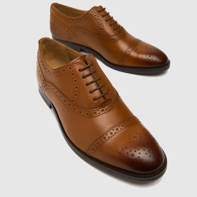 Marrón Dr.martens Botas Ted Baker Arniie Zapatos