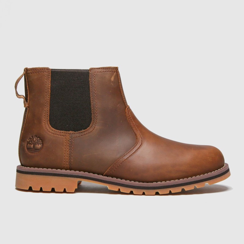 Botas Dr.Martens Timberland Larchmont II Botas Chelsea Tan