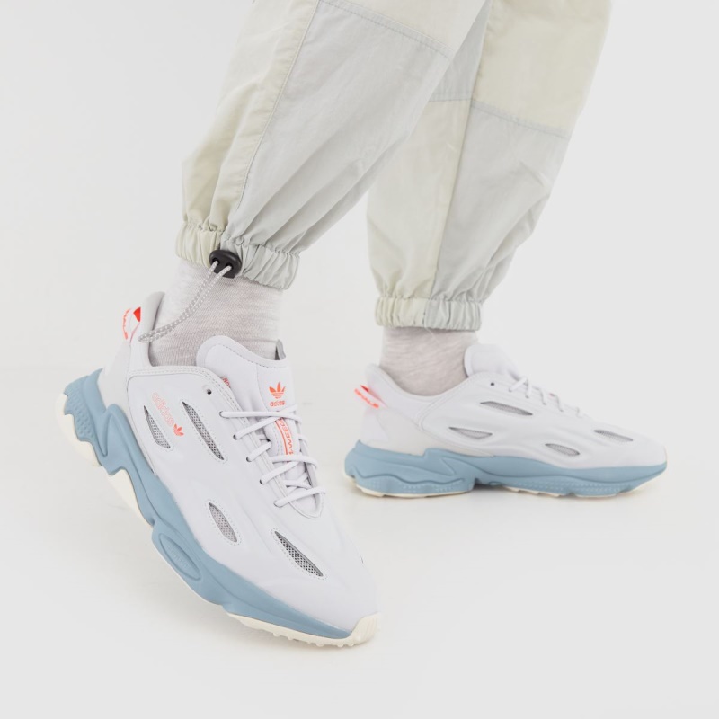 Dr.martens Botas Gris Claro Adidas Ozweego Celox Trainers