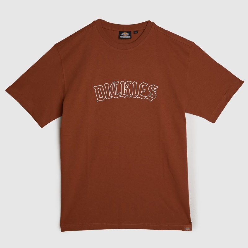 Camiseta Dickies Union Springs Naranja Dr.martens Botas