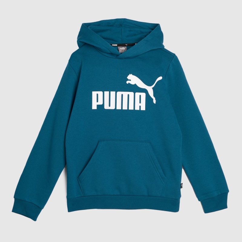 Puma Big Logo Hoodie Dr.martens Botas Azul
