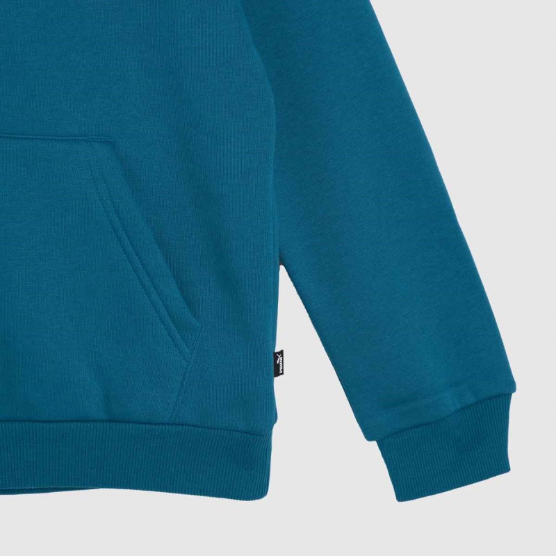 Puma Big Logo Hoodie Dr.martens Botas Azul